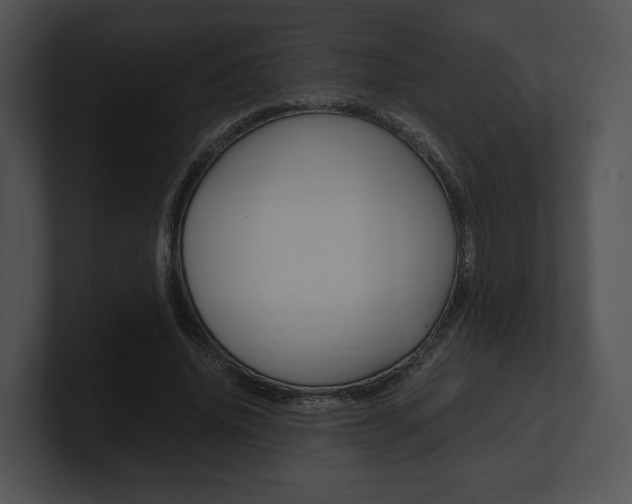 X0000100950636200806241123