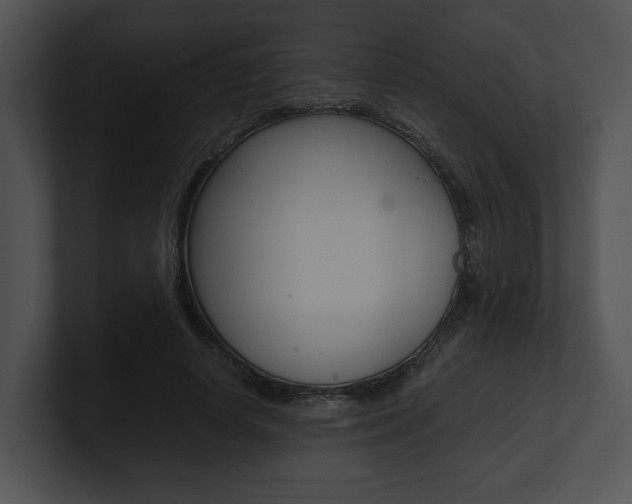 X0000100950642200806241124