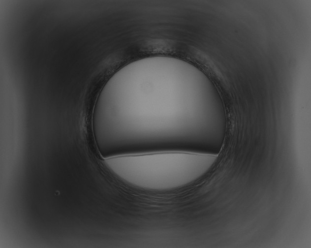 X0000100950643200806241124
