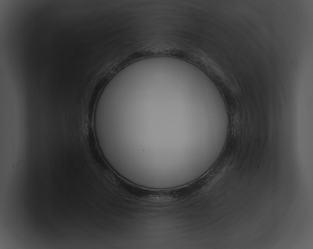 X0000100950644200806241124
