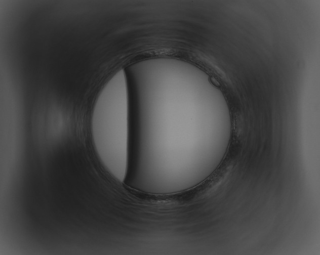 X0000100950645200806241124