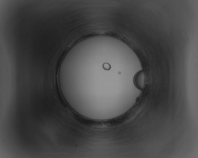 X0000100950646200806241124