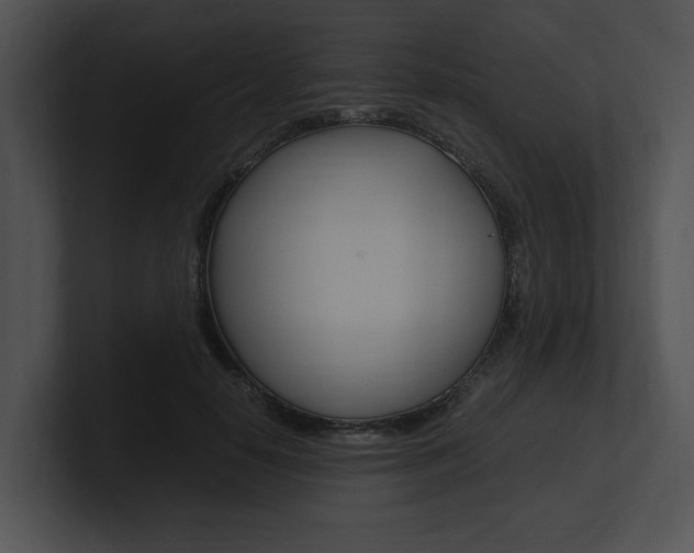 X0000100950650200806241124