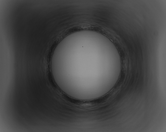 X0000100950653200806241124