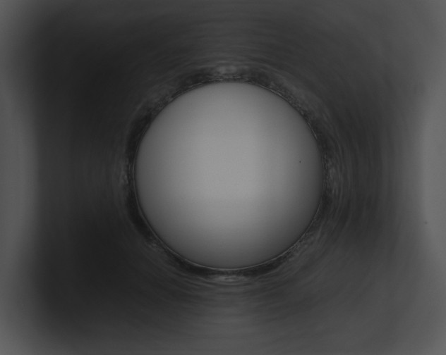 X0000100950654200806241124