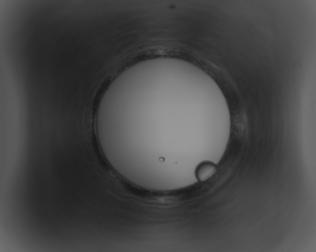 X0000100950657200806241124