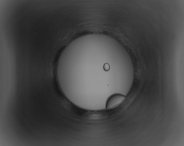 X0000100950658200806241124