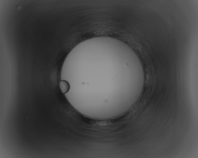 X0000100950659200806241124