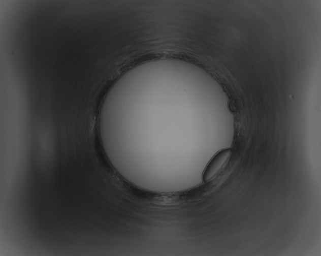 X0000100950660200806241124