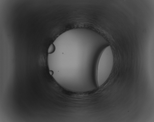 X0000100950661200806241124