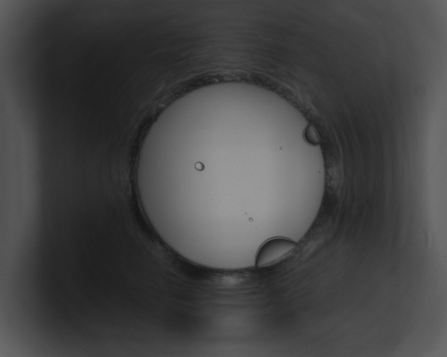 X0000100950662200806241124