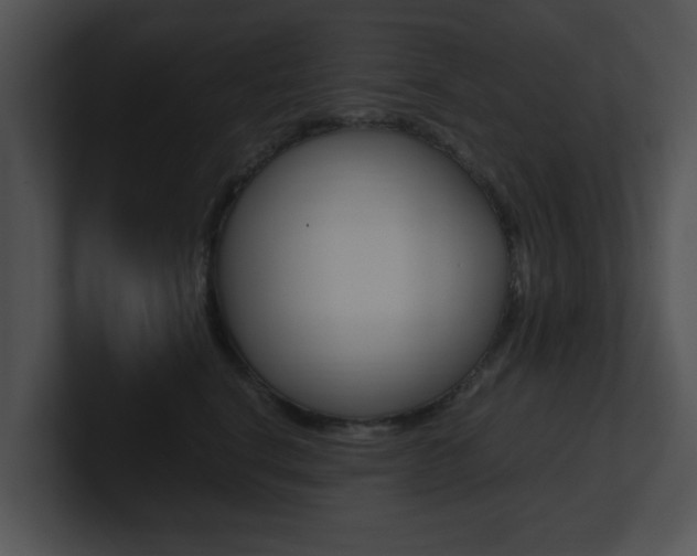 X0000100950664200806241124