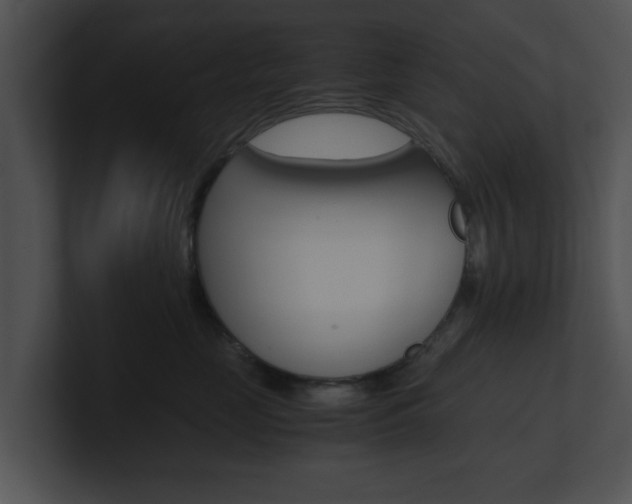 X0000100950669200806241124