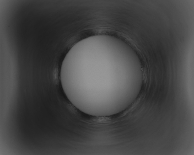 X0000100950670200806241124