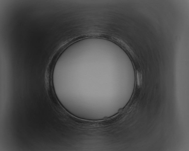 X0000100950675200806241123