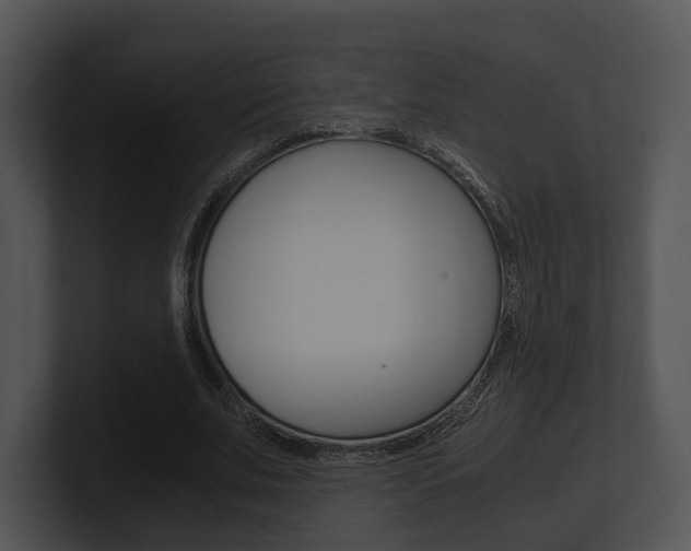 X0000100950679200806241123