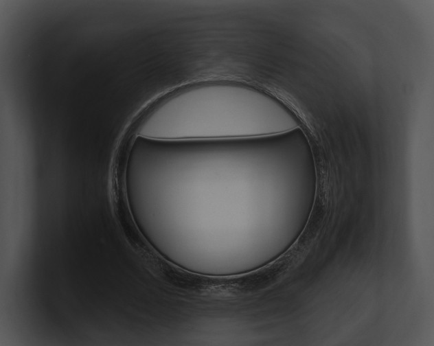 X0000100950680200806241123