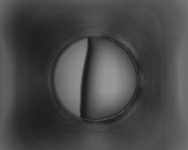 X0000100950681200806241123