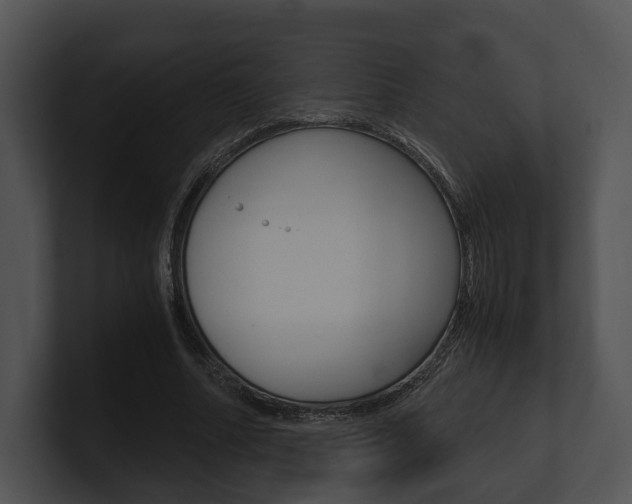 X0000100950682200806241123