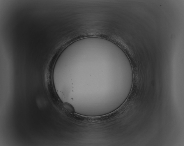X0000100950683200806241123