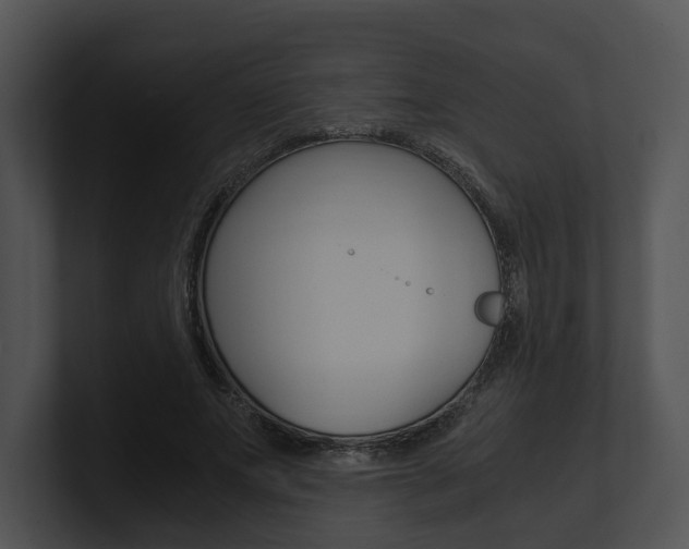 X0000100950687200806241123