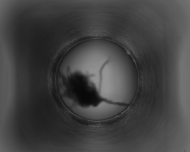 X0000100950688200806241123