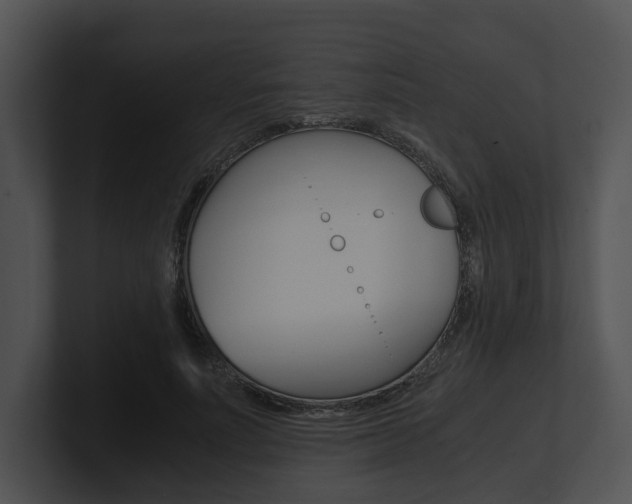 X0000100950691200806241123