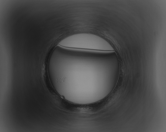 X0000100950693200806241123