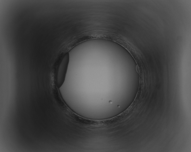 X0000100950696200806241123