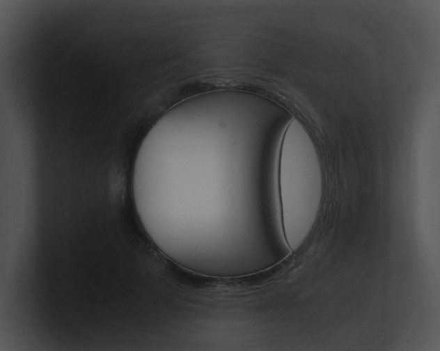 X0000100950697200806241123