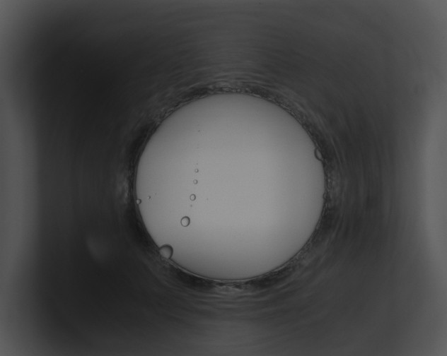X0000100950703200806241123