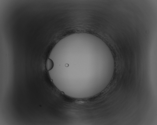 X0000100950706200806241123