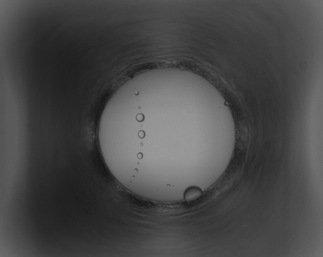 X0000100950707200806241123