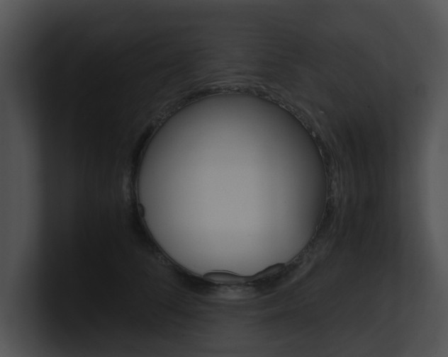 X0000100950708200806241123