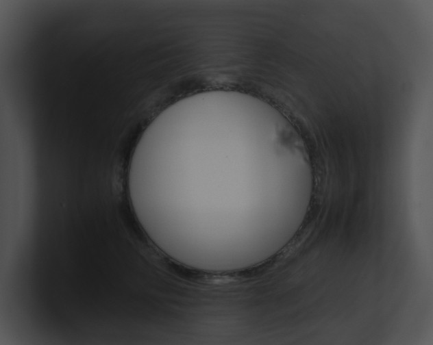 X0000100950710200806241123
