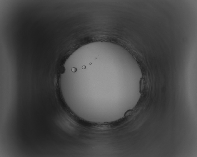 X0000100950711200806241123