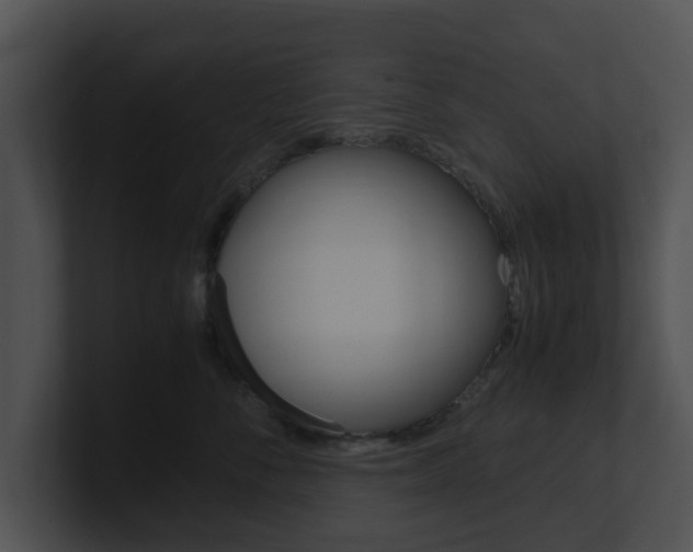 X0000100950716200806241123