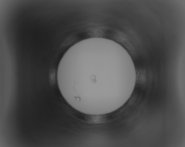 X0000100950717200806241123