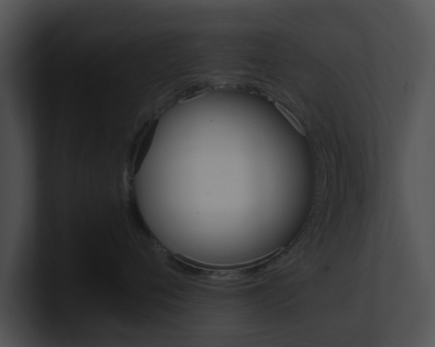 X0000100950720200806241123