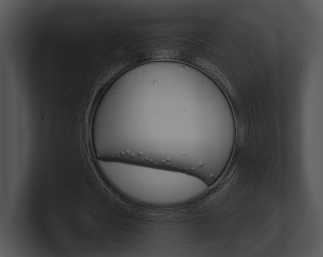 X0000100950721200806241122