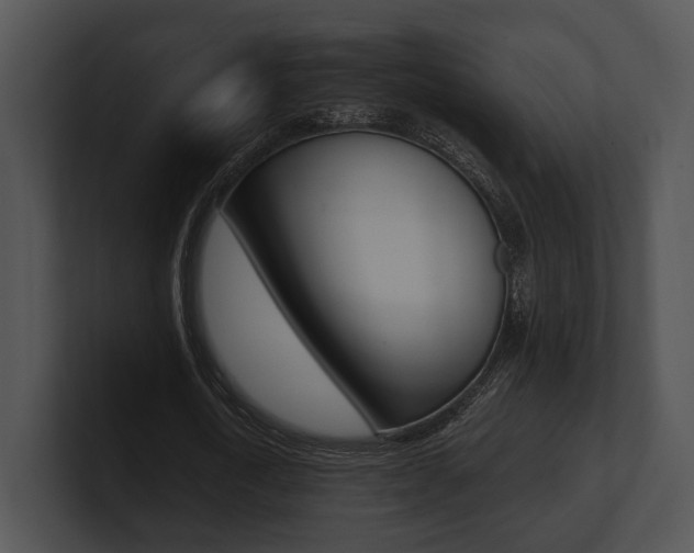 X0000100950722200806241122