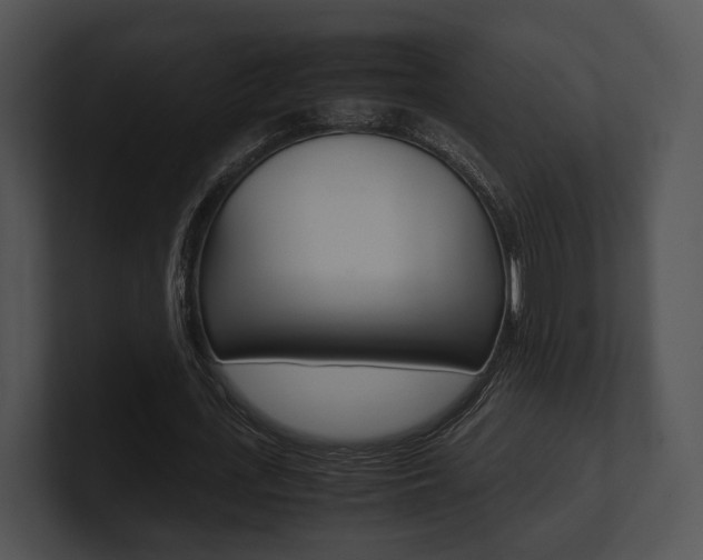 X0000100950723200806241122