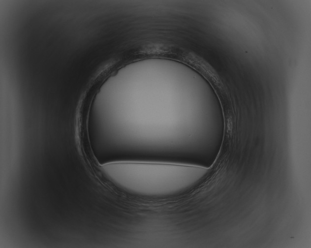 X0000100950724200806241122