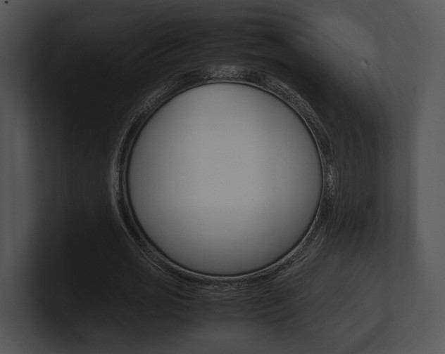 X0000100950725200806241122