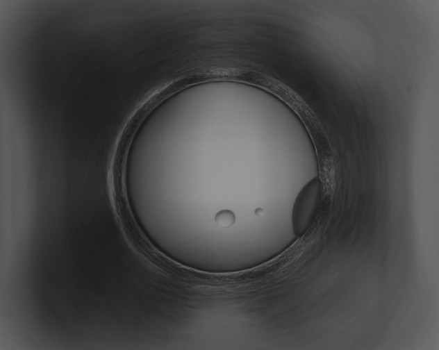 X0000100950726200806241122
