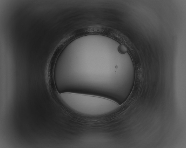 X0000100950727200806241122