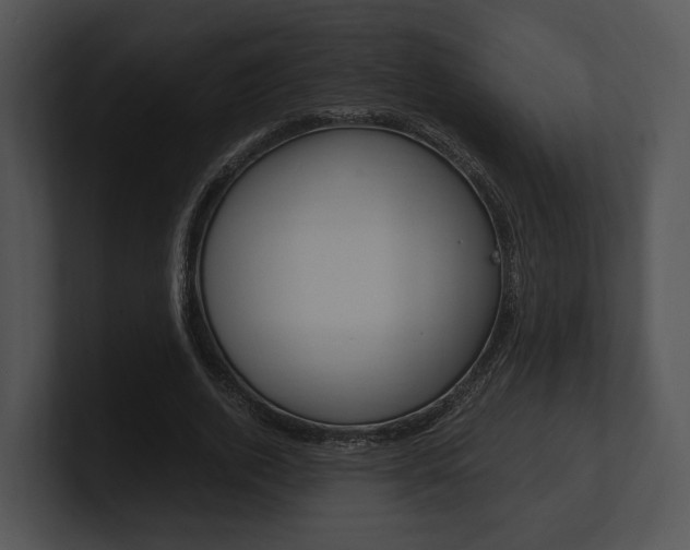 X0000100950728200806241122