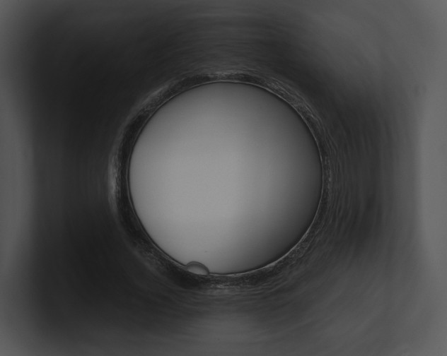 X0000100950732200806241122