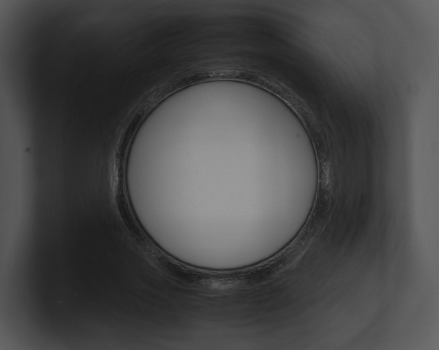 X0000100950733200806241122