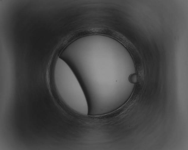 X0000100950734200806241122